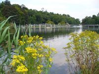 Hurley Islands and Weir